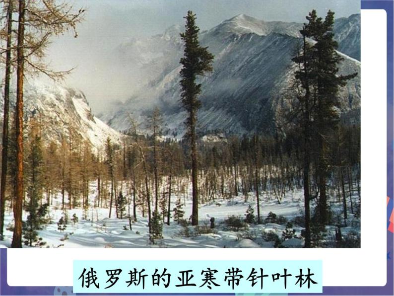 鲁科版六下地理 6.2 自然环境_亚洲的自然环境（课件+素材）05