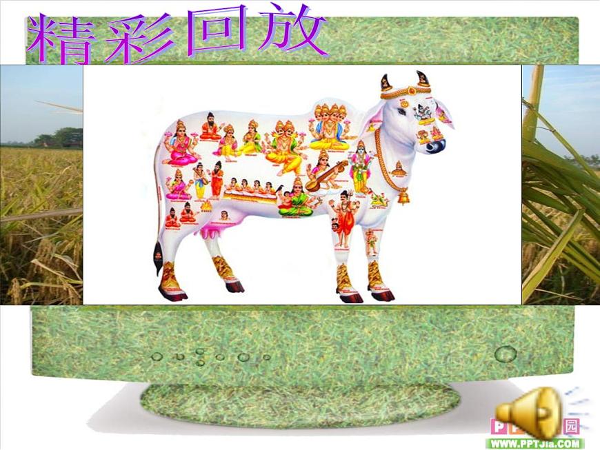 印度第3頁