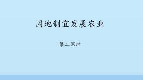 因地制宜发展农业PPT课件免费下载