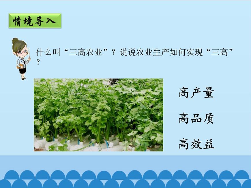商務(wù)星球版地理八年級(jí)上冊(cè) 第四章 第一節(jié) 因地制宜發(fā)展農(nóng)業(yè)-第二課時(shí)_ 課件第4頁