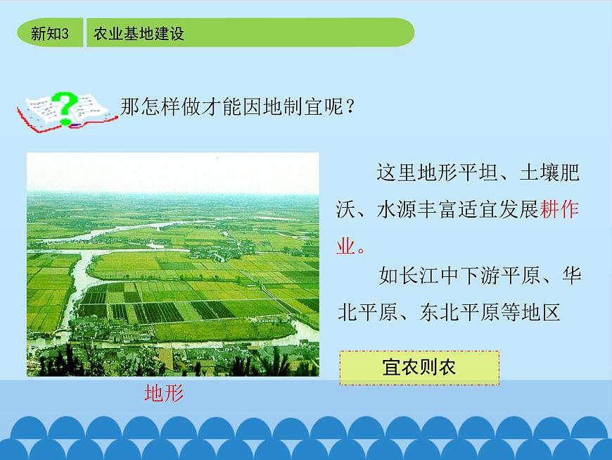 商務(wù)星球版地理八年級(jí)上冊(cè) 第四章 第一節(jié) 因地制宜發(fā)展農(nóng)業(yè)-第二課時(shí)_ 課件第7頁