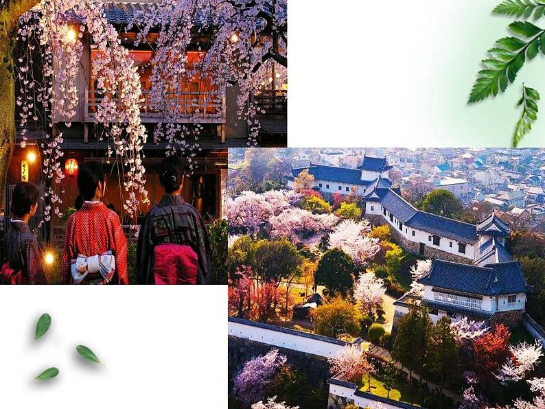 鲁教版(五四制)地理六年级上册 第三章 第二节 气温的变化与分布(3) 课件第5页