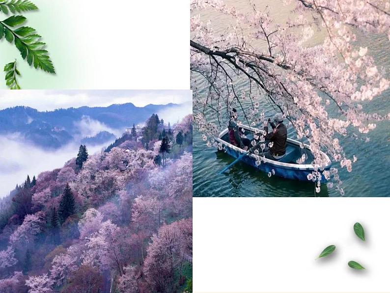 鲁教版(五四制)地理六年级上册 第三章 第二节 气温的变化与分布(3) 课件第6页