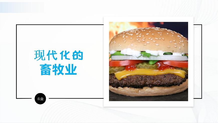 8.2歐洲西部（第2課時(shí)）第4頁(yè)