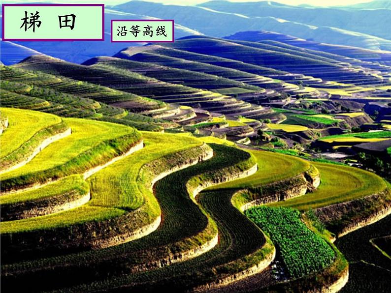 中图版地理七年级上册 第一章 第三节 地形图(1) 课件第2页