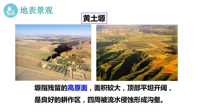 7.5《黄土高原》课件2020-2021学年初中地理中图版七年级下册（共33张）08