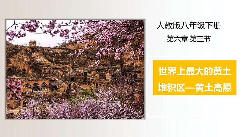 人教版八年级地理下册----世界最大的黄土堆积区——黄土高原(课件)-01