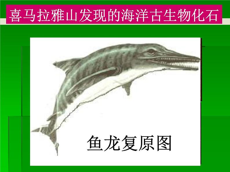 人教版七上第二章第二节海陆的变迁(共21张PPT)02