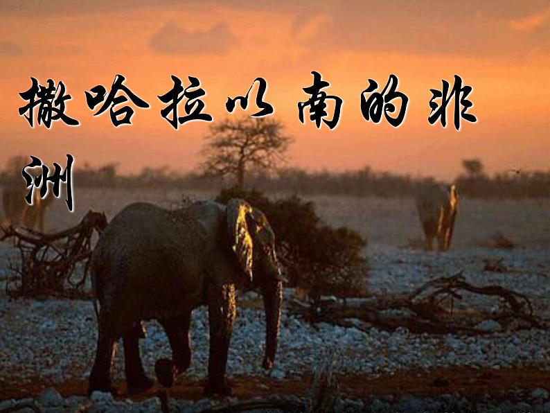 人教版地理七年级下册 撒哈拉以南的非洲课件第1页