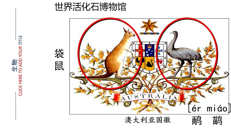 中图版地理八年级下册7.3澳大利亚第2课时课件05