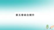 2020-2021学年第五章 世界的居民综合与测试说课ppt课件