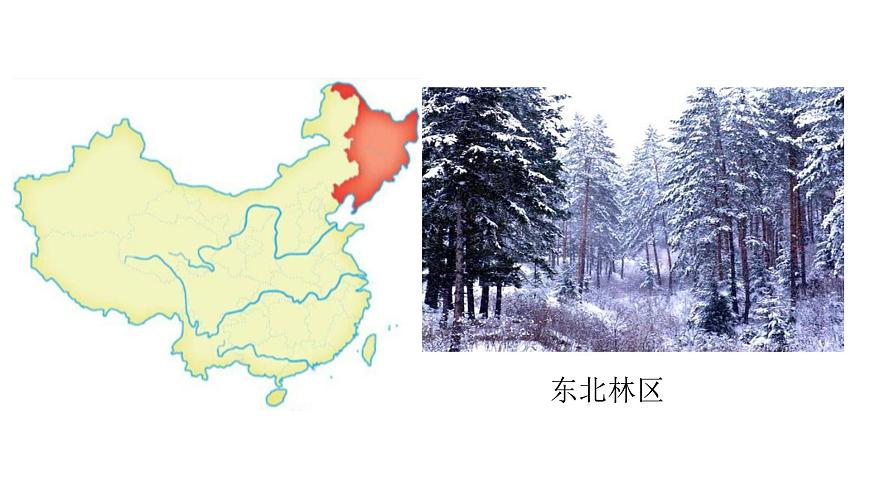 2022八年級地理下冊商務(wù)星球版第二節(jié) 東北三省第1課時(共3課時)共18課時課件PPT第2頁