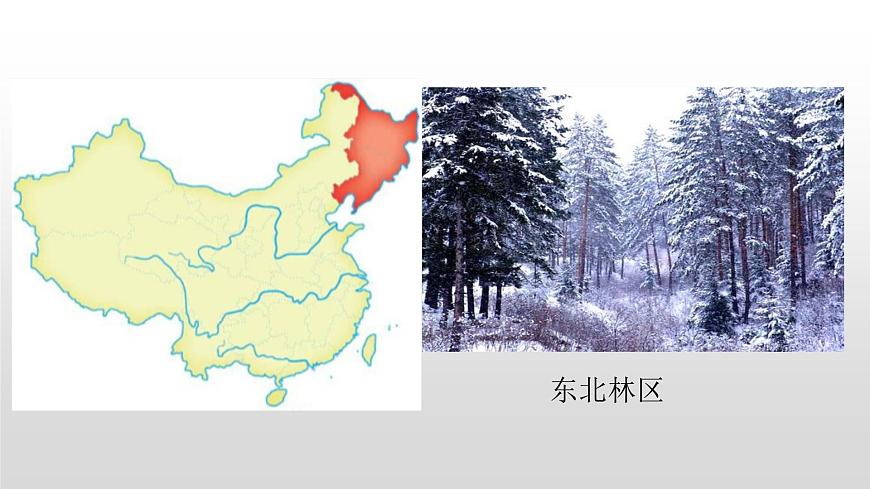 2022八年級(jí)地理下冊(cè)商務(wù)星球版6.2第二節(jié)東北三省共3個(gè)課時(shí)45張PPT第2頁(yè)