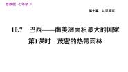 初中地理晋教版七年级下册10.7巴西——南美洲面积最大的国家习题课件ppt