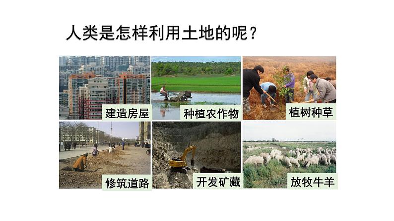4.2 土地资源与农业(中图版)课件PPT第4页