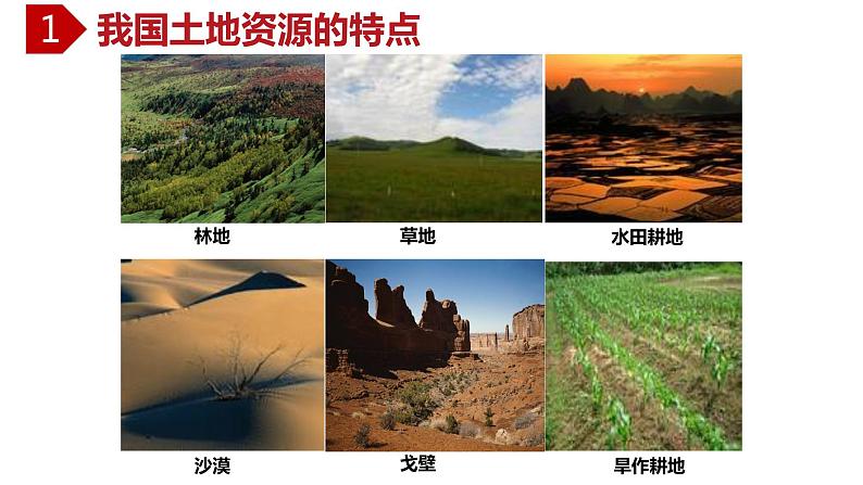 4.2 土地资源与农业(中图版)课件PPT第5页