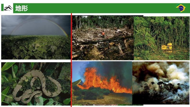 高效备课2021-2022学年湘教版七年级下册地理课件 第8章第6节 巴西07