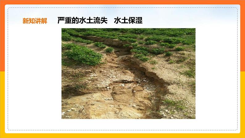 6.3.2第2课时世界最大的黄土堆积区——黄土高原课件第3页