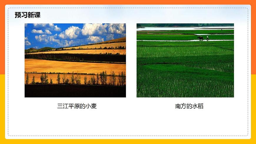 4.1農(nóng)業(yè) 同步課件第5頁