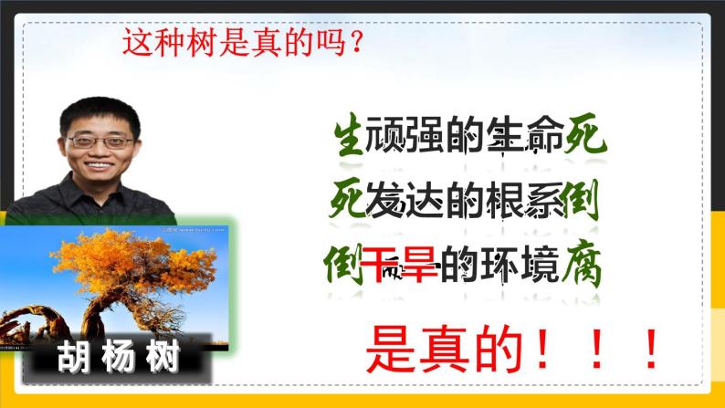 人教版八年级下册 8.2干旱的宝地 塔里木盆地（课件+教案+学案+练习）05