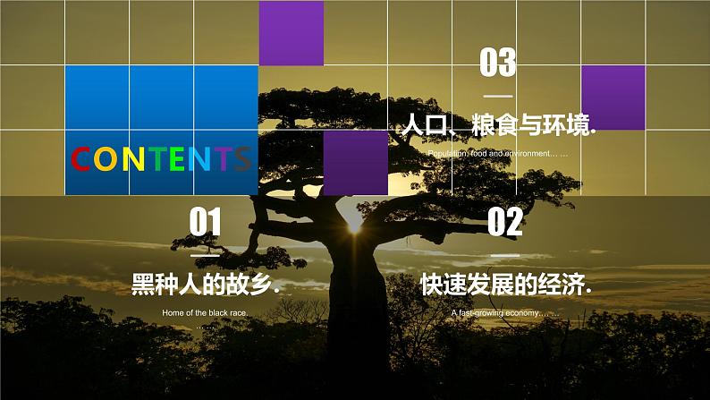 8.3撒哈拉以南非洲(课件)-七年级下册地理同步(人教版)03