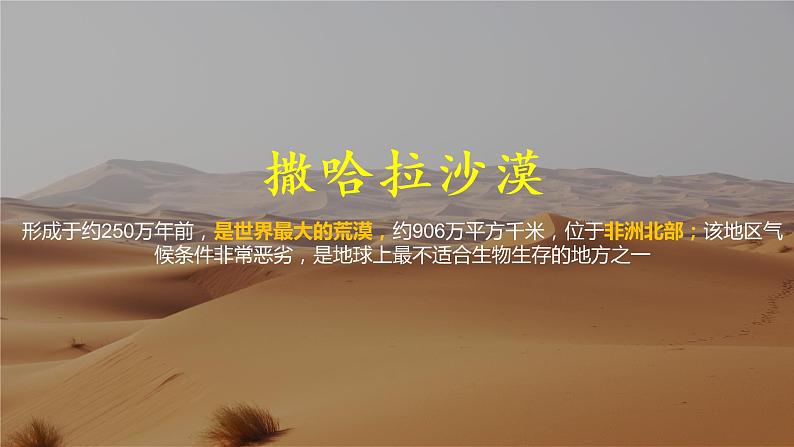 8.3撒哈拉以南非洲(课件)-七年级下册地理同步(人教版)07