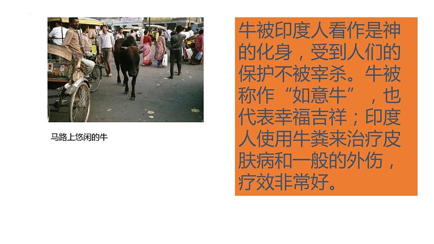 7.3印度課件-2021-2022學年七年級地理下學期人教版第3頁