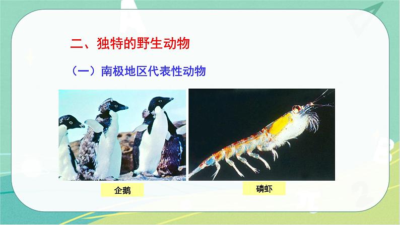 七地下 湘教版 课件7.5 北极地区和南极地区04