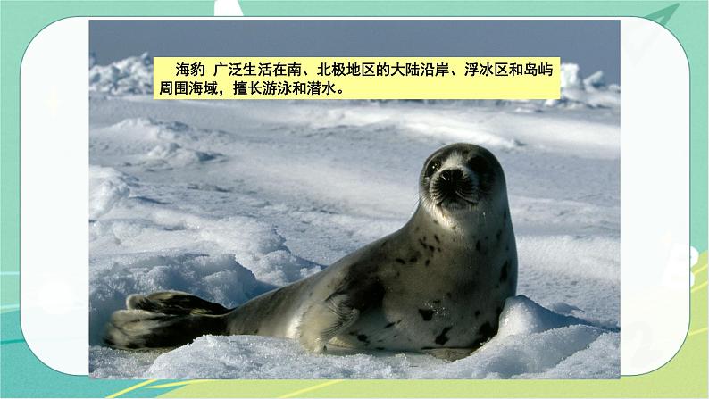 七地下 湘教版 课件7.5 北极地区和南极地区06