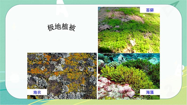 七地下 湘教版 课件7.5 北极地区和南极地区08