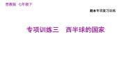 晋教版七年级下册地理 期末专项训练三　西半球的国家 习题课件