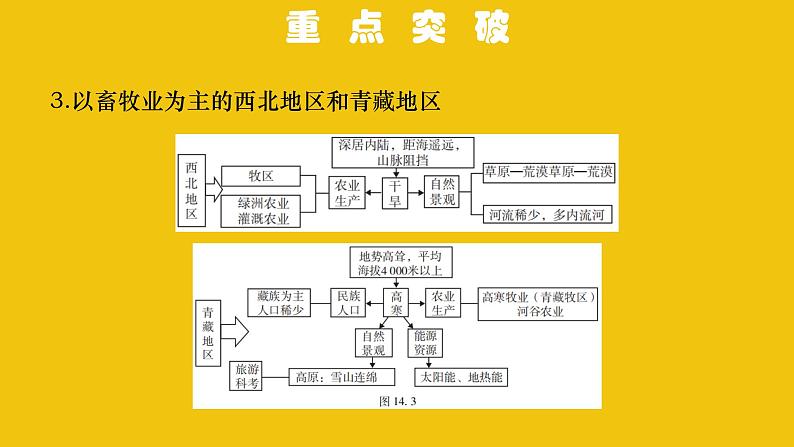 中考地理总复习14.专题十四中国的地理差异PPT课件05