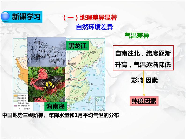 第五章 中国的地理差异(第1课时)(课件)第3页