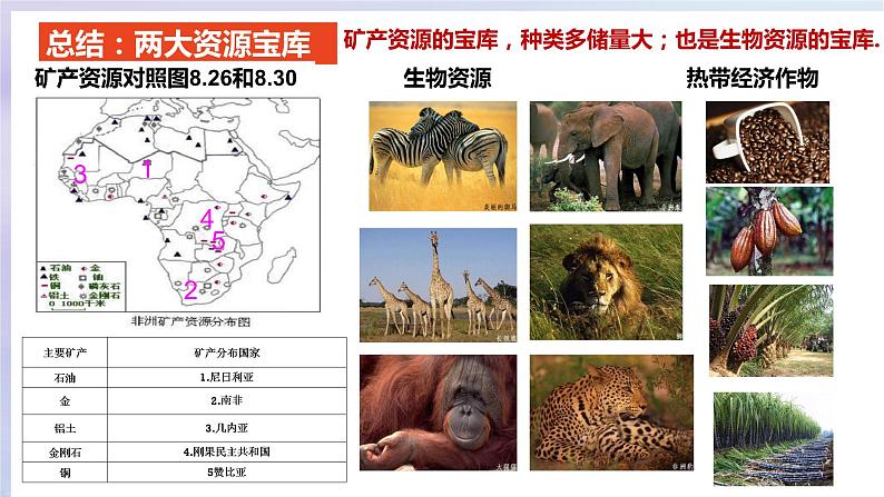 人教版七年级地理下册《撒哈拉以南非洲》(二)公开课PPT课件第6页