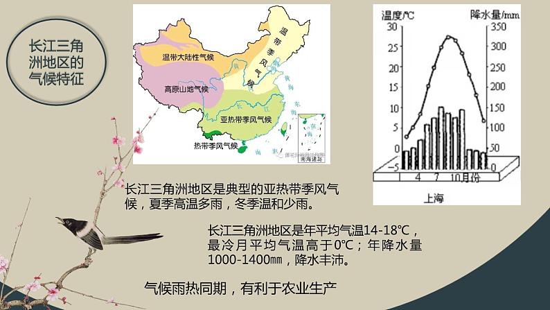 2021-2022学年人教版地理八年级下册第七章第二节《“鱼米之乡”——长江三角洲地区》第一课时课课件PPT第5页