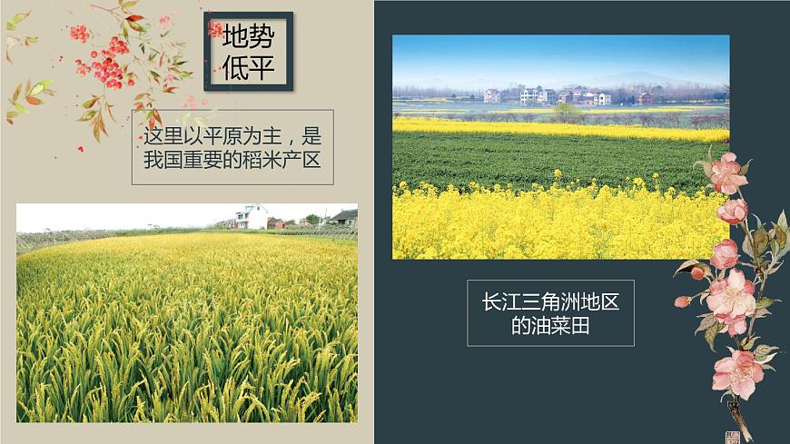 2021-2022學(xué)年人教版地理八年級下冊第七章第二節(jié)《“魚米之鄉(xiāng)”——長江三角洲地區(qū)》第一課時(shí)課課件PPT第7頁