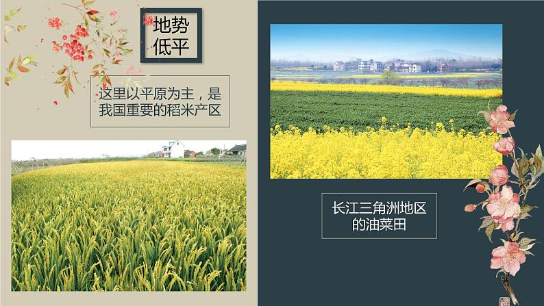 2021-2022学年人教版地理八年级下册第七章第二节《“鱼米之乡”——长江三角洲地区》第一课时课课件PPT第7页