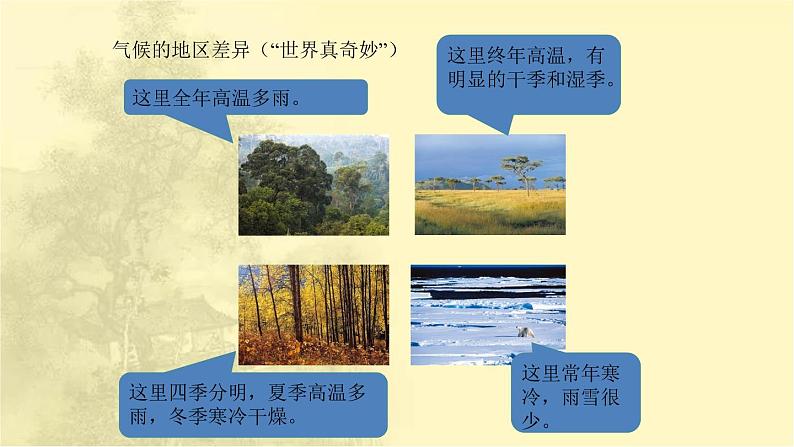 第3章第4节《世界的气候》课时课件第4页