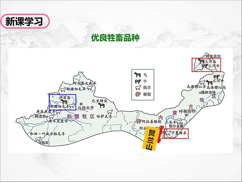 人教版 (新课标) 地理 八年级下册8.1 自然特征与农业(第2课时)(课件+视频素材)05