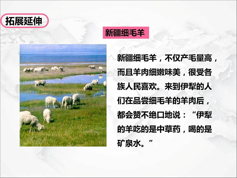 人教版 (新课标) 地理 八年级下册8.1 自然特征与农业(第2课时)(课件+视频素材)08