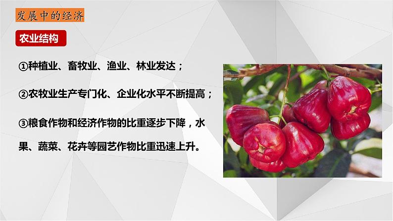 8.2台湾省的地理环境与经济发展(第2课时)2021-2022学年八年级地理下册课件第6页