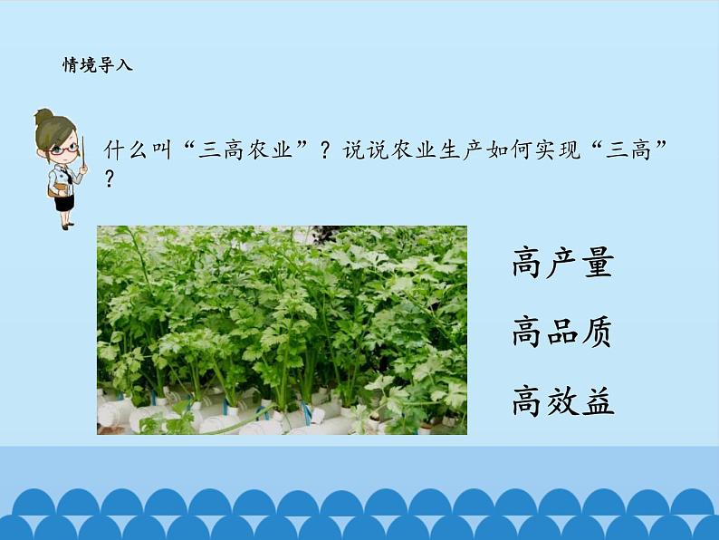 鲁教版(五四制)地理七年级上册 4.2 农业-_1(课件)第4页