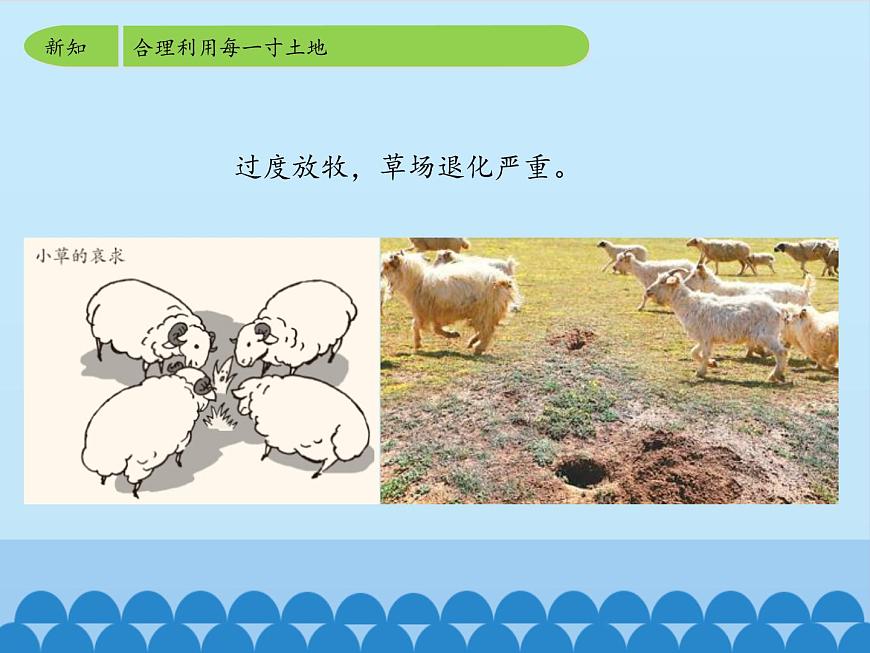 魯教版（五四制）地理七年級(jí)上冊(cè) 3.2 土地資源-第二課時(shí)_1（課件）第8頁(yè)