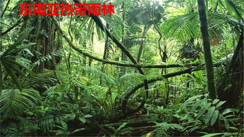 第六章 我们生活的大洲——亚洲 第二节自然环境(第2课时)课件PPT03