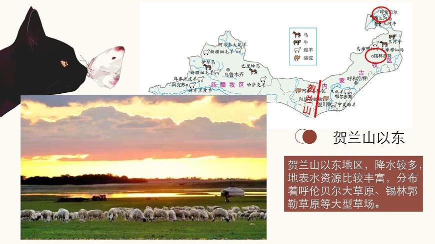 2021-2022學(xué)年人教版地理八年級下冊第八章第一節(jié)《自然特征與農(nóng)業(yè)》第二課時(shí)課件第4頁