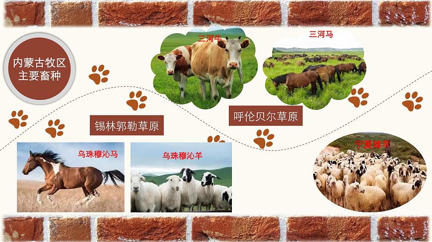 2021-2022學(xué)年人教版地理八年級下冊第八章第一節(jié)《自然特征與農(nóng)業(yè)》第二課時(shí)課件第5頁