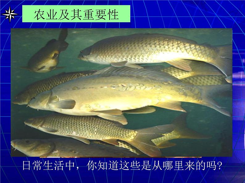 4.2农业课件第2页