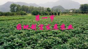 八年级上册第一节 	因地制宜发展农业课堂教学ppt课件