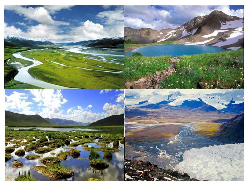 鲁教版(五四学制)七年级下册地理 第九章 第二节高原湿地——三江源地区 课件04
