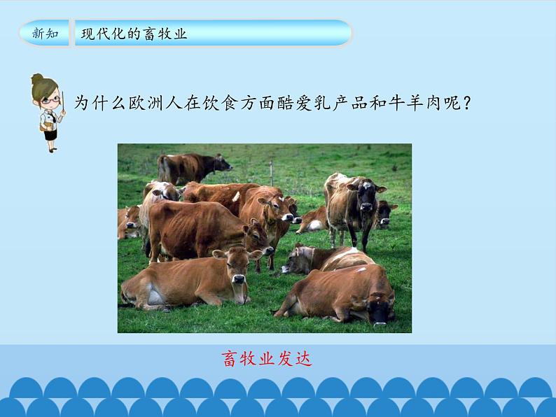 鲁教版(五四制)地理六年级下册 第八章第二节欧洲西部(2)(课件)第7页